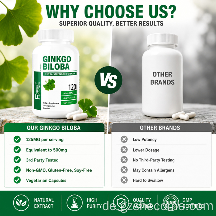 Ginkgo Biloba Unterstützung des Gehirns Ginkgo Biloba-Kapseln